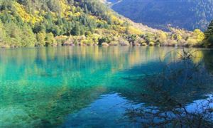 九寨溝火花海重新開(kāi)放 2020濱海旅游市場(chǎng)投資前景趨勢(shì)分析