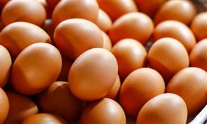 全國農(nóng)產(chǎn)品批發(fā)市場雞蛋價(jià)格比昨天上升3.1% 未來將會(huì)有更多的商品蛋進(jìn)入市場