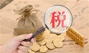 涉稅市場(chǎng)主體發(fā)展?jié)摿Υ?中國(guó)稅務(wù)服務(wù)行業(yè)發(fā)展前景預(yù)測(cè)