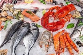 263箱涉疫凍龍蝦涉及浙江三地 中國冷鏈凍品企業(yè)同比減少3.5%