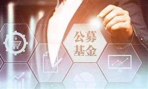 多家基金規(guī)模年度增幅明顯 2021年投資者應(yīng)該適當降低預(yù)期收益