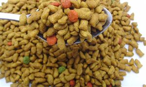 天貓國(guó)際下架問(wèn)題貓糧 2021年中國(guó)寵物食品規(guī)模將超450億