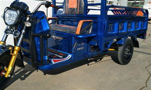 快遞服務電動三輪車在?？谑芟?2021年三輪電動車品牌格局將更加明顯