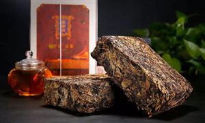 獲海關(guān)出口商品單獨(dú)列目 未來黑茶產(chǎn)業(yè)發(fā)展趨勢(shì)怎么樣