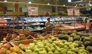 韓國食品價(jià)格大幅上漲 2021蔬菜食品行業(yè)市場行情如何？