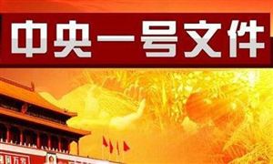 2021年中央一號(hào)文件里的時(shí)間表 2021現(xiàn)代農(nóng)業(yè)行業(yè)發(fā)展現(xiàn)狀與前景分析