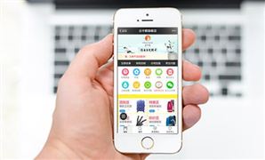 2021-2025電子商務(wù)網(wǎng)站市場(chǎng)深度分析及電子商務(wù)網(wǎng)站需求分析報(bào)告