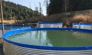 帆布魚池市場(chǎng)調(diào)研 帆布魚池市場(chǎng)發(fā)展現(xiàn)狀及投資前景分析