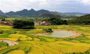鄉(xiāng)村旅游發(fā)展?jié)摿臻g巨大 鄉(xiāng)村旅游市場發(fā)展現(xiàn)狀及前景分析