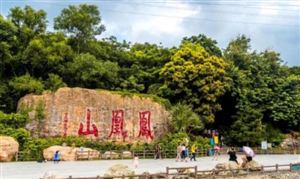 深圳八景是哪八景？深圳市濱海旅游行業(yè)發(fā)展前景及項目投資規(guī)劃研究