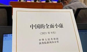 《中國的全面小康》白皮書發(fā)布 中國的全面小康什么樣？