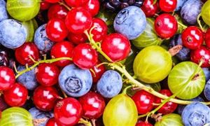 國臺辦談暫停輸入臺灣番荔枝和蓮霧 2021水果行業(yè)現(xiàn)狀分析
