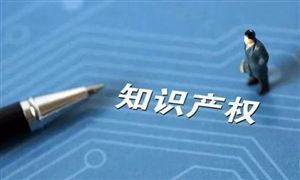 促進(jìn)高質(zhì)量知識(shí)產(chǎn)權(quán)創(chuàng)造與轉(zhuǎn)化 我國(guó)知識(shí)產(chǎn)權(quán)專利未來(lái)發(fā)展趨勢(shì)