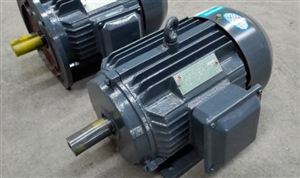 高效節(jié)能電機(jī)受市場(chǎng)青睞 高效節(jié)能電機(jī)市場(chǎng)產(chǎn)業(yè)現(xiàn)狀