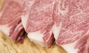日本成功3D打印和牛肉 制造成本需要多少錢(qián) 人造肉市場(chǎng)調(diào)研及投資前景分析