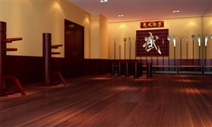 中國武術培訓行業(yè)現(xiàn)狀及發(fā)展前景分析