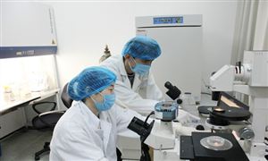 質量檢測市場規(guī)模如何? 質量檢驗檢測行業(yè)發(fā)展全景分析