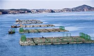 2021海洋牧場行業(yè)新市場規(guī)模及發(fā)展新趨勢分析