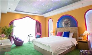中國主題酒店行業(yè)現(xiàn)狀及發(fā)展前景分析