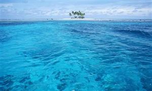 海水有什么利用價值? 海水利用業(yè)發(fā)展前景分析