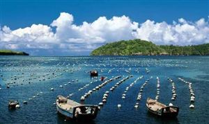 2021海洋漁業(yè)?行業(yè)發(fā)展現(xiàn)狀及前景分析