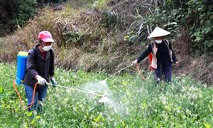 農(nóng)藥行業(yè)市場分析 農(nóng)藥市場調(diào)查報告