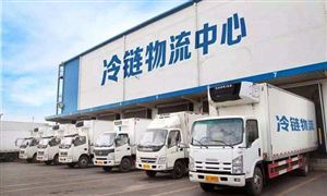 冷鏈物流市場調(diào)研 2022冷鏈物流行業(yè)發(fā)展前景及趨勢分析