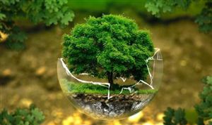 碳中和行業(yè)市場現(xiàn)狀 碳中和行業(yè)市場發(fā)展前景分析