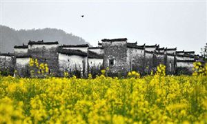 浙江省鄉(xiāng)村旅游行業(yè)市場發(fā)展現(xiàn)狀及投資前景分析