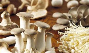 食用菌市場(chǎng)調(diào)研 2022食用菌行業(yè)現(xiàn)狀及前景分析報(bào)告