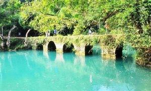 貴州省在線旅游市場現(xiàn)狀分析 貴州省在線旅游市場發(fā)展前景預測