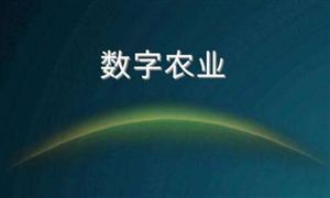 2022年數(shù)字農(nóng)業(yè)發(fā)展現(xiàn)狀及發(fā)展方向