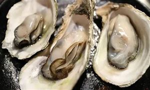2022年生蠔行業(yè)發(fā)展現(xiàn)狀及市場行情分析