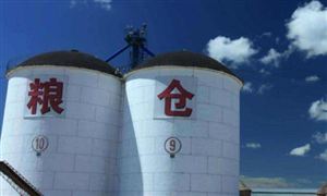 2022內蒙古、包頭糧食倉儲及應急儲備行業(yè)發(fā)展現狀及前景分析