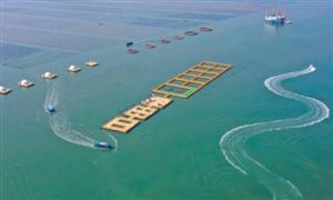 “十四五”大連大力發(fā)展海洋牧場(chǎng) 中國(guó)海洋牧場(chǎng)現(xiàn)狀分析及未來(lái)發(fā)展規(guī)劃
