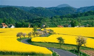 到2025年培育鄉(xiāng)村產(chǎn)業(yè)振興帶頭人10萬人 鄉(xiāng)村旅游行業(yè)投資前景分析
