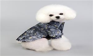 寵物服飾行業(yè)發(fā)展趨勢(shì)及市場(chǎng)現(xiàn)狀分析