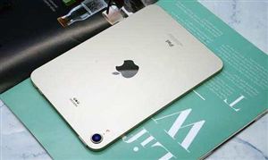 iPadMini 6現(xiàn)“果凍屏”遭訴訟 LCD面板價(jià)格市場(chǎng)行情回顧