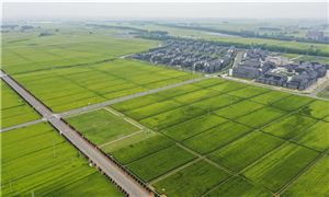 農(nóng)業(yè)農(nóng)村部部長唐仁健解讀2022年中央一號文件 農(nóng)業(yè)投資資未來發(fā)展分析