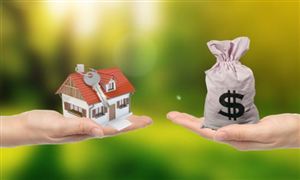 2022農(nóng)業(yè)貸款市場調(diào)研與行業(yè)前景現(xiàn)狀分析