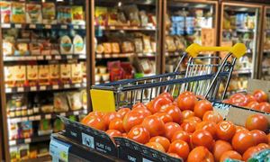 食品零售市場(chǎng)調(diào)研報(bào)告 2022年食品零售行業(yè)前景及趨勢(shì)分析