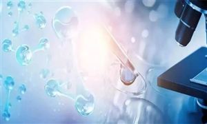 2022年海洋生物醫(yī)藥行業(yè)發(fā)展前景及未來模式分析
