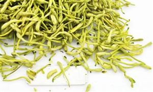 金銀花市場(chǎng)分析 金銀花行業(yè)前景怎么樣
