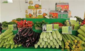 種植富硒農(nóng)產(chǎn)品可以讓農(nóng)民增收 富硒農(nóng)產(chǎn)品市場規(guī)模分析