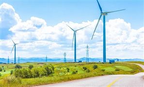 2021全球風(fēng)電整機市場廠商排名 2022中國海上風(fēng)電機組國產(chǎn)化趨勢調(diào)研