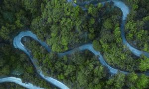 歷史文化旅游市場(chǎng)占比 2022歷史文化旅游行業(yè)現(xiàn)狀與前景分析
