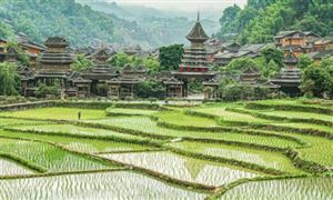 特色農(nóng)業(yè)旅游市場調(diào)研 2022特色農(nóng)業(yè)旅游行業(yè)前景與現(xiàn)狀分析
