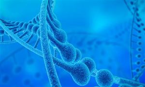 2022免疫細(xì)胞存儲(chǔ)行業(yè)前景及現(xiàn)狀分析