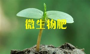 2022年微生物肥料行業(yè)市場(chǎng)需求及發(fā)展前景方向分析