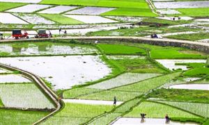 2022農(nóng)業(yè)自動(dòng)化設(shè)備行業(yè)現(xiàn)狀及市場前景分析